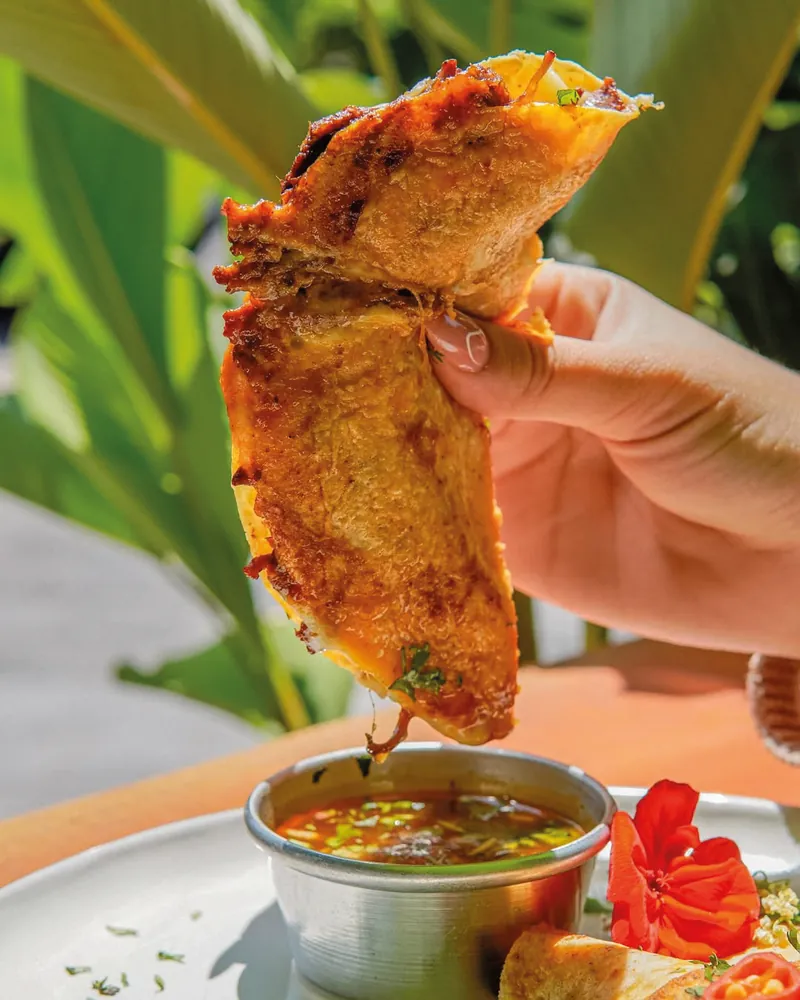 Quesabirria dorada mojándose en consomé de birria, Viva Zapata Bucaramanga